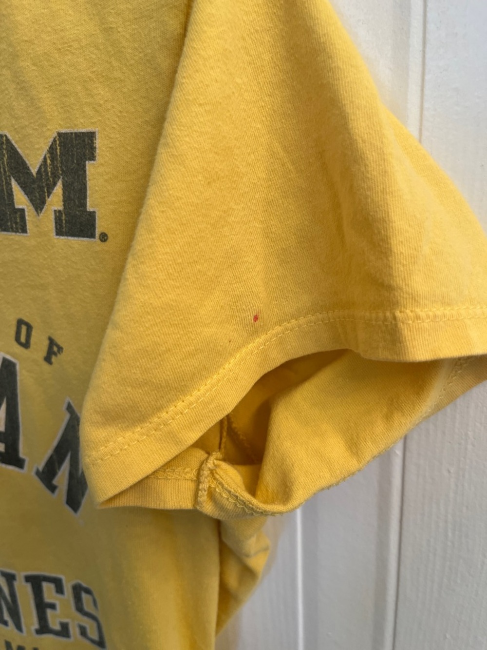 Michigan wolverines - Picture 2 of 2